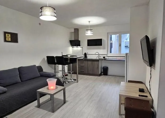 Apartamento Cosy Avec Patio En Rdc